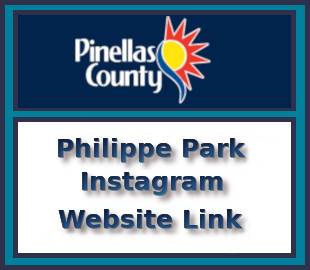 Philippe Park Instagram