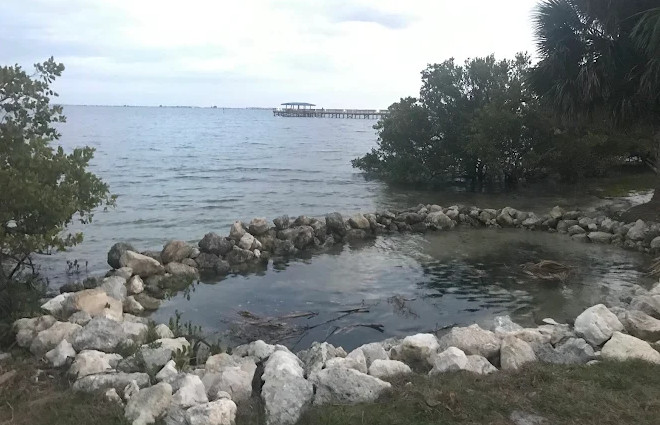 Safety Harbor Waterfront Park